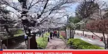 Ciliegi in fiore a Tokyo, torna la festa dell&rsquo;Hanami