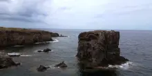 Greenpeace: a Ustica caldo estremo anche sui fondali e moria di specie