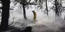 Belgio, il fuoco avanza verso la Germania spinto dal vento