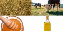 Agricoltura e allevamento, produzione in calo per le ondate di caldo
