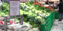 Spreco alimentare, Italia migliora: calo dell'11% sul 2025