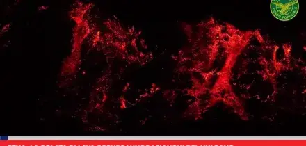Etna, la colata di lava scende lungo i fianchi del vulcano