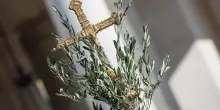 Domenica delle Palme: cosa si celebra e perch&eacute; si benedice l&rsquo;ulivo