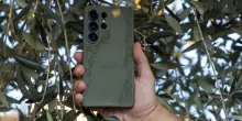 Vaia, una cover per smartphone dagli ulivi colpiti dalla Xylella