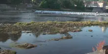 Musumeci: la Spagna recupera il 32% di acqua piovana, noi l'11-12%