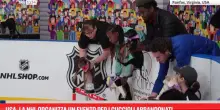 Usa, la NHL organizza un evento per i cuccioli abbandonati