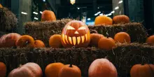 Halloween 2026, cosa fare a Torino: eventi e feste a tema