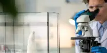 Non solo Hantavirus, tutti i virus trasmessi dai topi all'uomo
