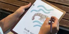 Kindle Scribe Colorsoft, il colore debutta sul grande formato