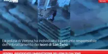 Verona, identificato l'imbrattatore dei leoni di San Zeno
