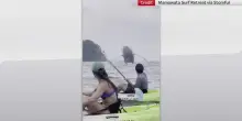 Costa Rica, kayak vicini a megattera a Playa Escondido