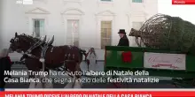 Melania Trump riceve l’albero di Natale della Casa Bianca