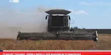 Climate change, orzo e piselli gi&agrave; maturi in Slovacchia