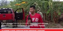 Alluvione a Oahu, evacuate oltre cinquemila persone