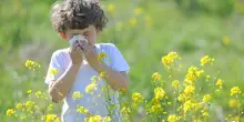 Allergie, raddoppiano i casi: l'allarme del Bambin Ges&ugrave;