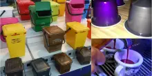 Capsule caff&egrave;, nuove regole per raccolta differenziata dal 12 agosto