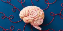 Il cervello &egrave; attivo anche quando siamo incoscienti