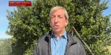 Da De Bruyne a Lucca: le parole di Allegri in conferenza