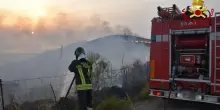 Incendi in Calabria, gatti usati per inneschi: taglia sui piromani
