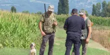 Ddl caccia, al via le audizioni alla Camera: malumori anche nella maggioranza