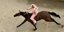 Siena, Palio di Provenzano a rischio per maltempo: provaccia annullata