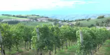 Enoturismo in Valpantena, alla Collina dei Ciliegi il confronto sul futuro del territorio