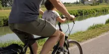 Bimbo sulla canna della bici: cosa dice il Codice della strada