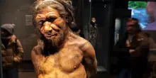 Gli uomini di Neanderthal curavano le carie con trapani di pietra