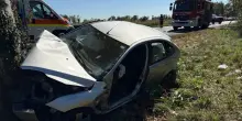 Auto contro un platano: muore bimba di 11 anni, grave la sorellina