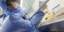 Virus Ebola, cos'&egrave; e come si trasmette