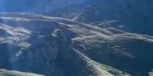 Mucca trasportata in elicottero in Francia