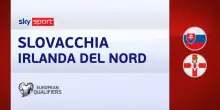Slovacchia-Irlanda del Nord 1-0: gol e highlights