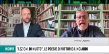 Lingiardi: 'Amo le parole e il loro uso relazionale'