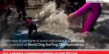 Usa, a Pacifica i campionati mondiali di surf per cani