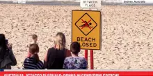 Australia, attacco di squalo: donna in condizioni critiche