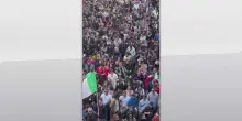 Bologna, scontri durante il corteo dello sciopero generale