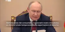 Guerra in Ucraina, Putin: si valuta blocco esportazione diesel