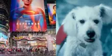 Superman, eletto a New York con un contest il sosia di Krypto