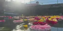 Pozzuoli, fiori in darsena: simbolo di lotta al bradisismo