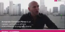 Pitbull, la carriera