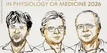 Nobel, Deisseroth, Hegemann e Nagel vincono il Premio per la Medicina