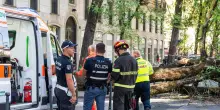 Milano, cade albero in piazza Risorgimento: tre feriti. FOTO