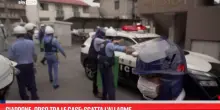 Giappone, orso tra le case: scatta l'allarme