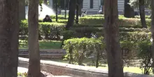 Cortei, a Bari giovanissimi preparavano scontri su telegram