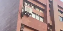 Taiwan, scimmie si arrampicano sul muro dell'universit&agrave; di Kaohsiung