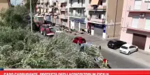 Caro carburante, protesta degli agricoltori in Sicilia
