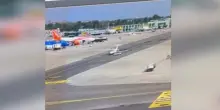 Milano Linate, il video dell'impatto tra un'auto e un aereo privato