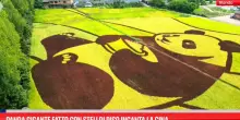 Panda gigante fatto con steli di riso incanta la Cina