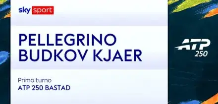 Budkov Kjaer-Pellegrino: highlights Atp Bastad