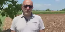 Varano avvistato a Montichiari, sindaco a Sky TG24: 'Area interdetta'